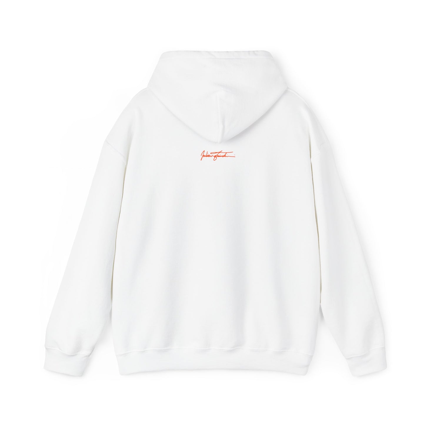 STOP VILLAINIZING ADDICTION HOODIE